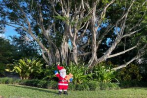 christmas light installation near me in naples fl 02 christmas light installation near me in naples fl 02