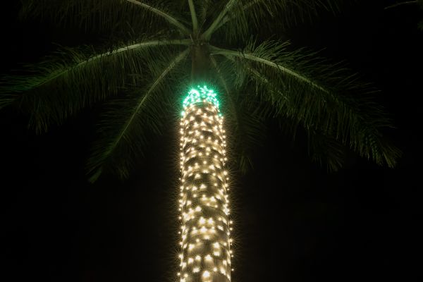 christmas light installation near you in naples fl 31