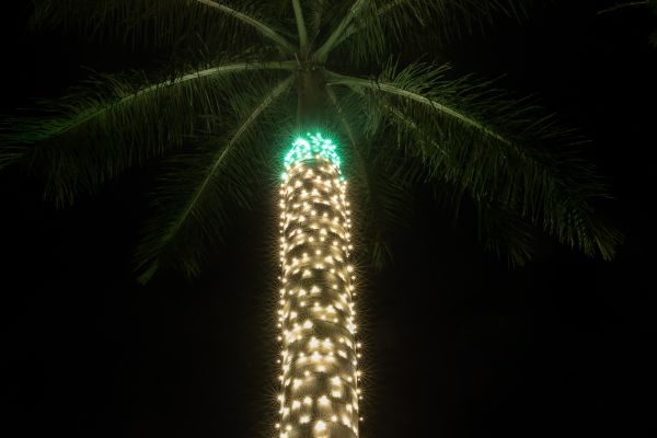 Christmas Light Installation