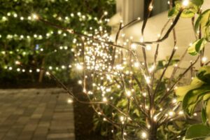 christmas light installation near you in naples fl 37 Outdoor lighting display with LED fairy lights wrapped around decorative tree branches, creating a warm, inviting glow in the garden. Path visible in the background.