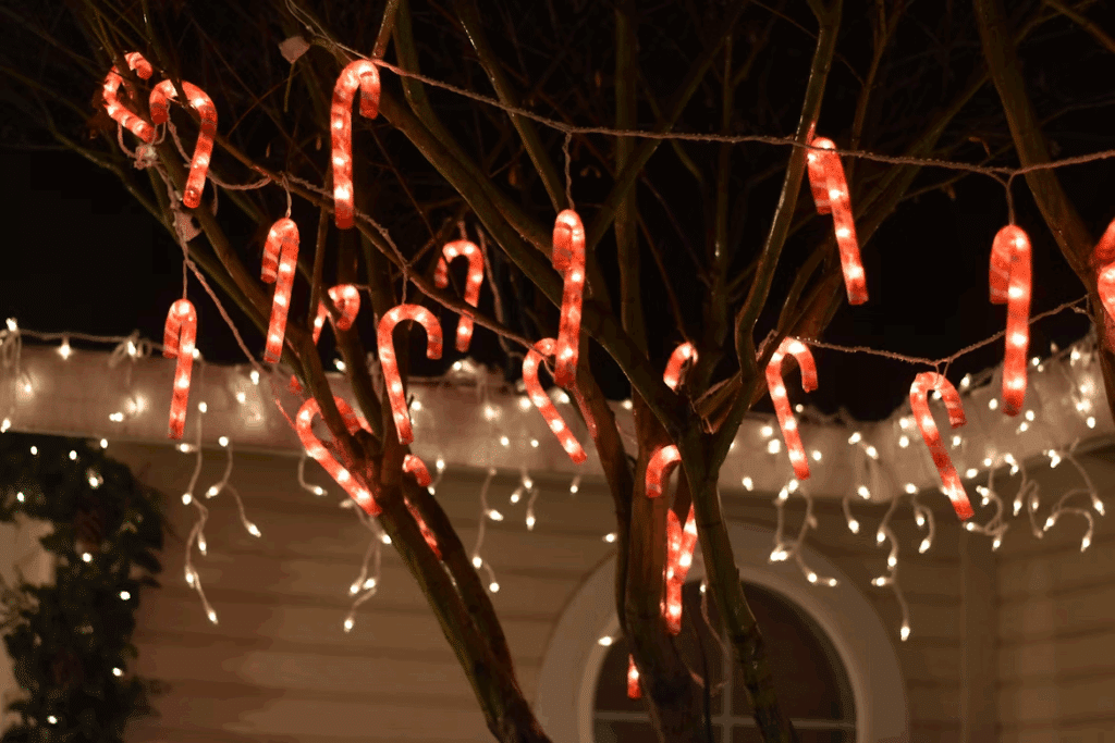 Outdoor Christmas decorations featuring illuminated candy cane lights hanging from a tree with white string lights and icicle lights on a nearby house.